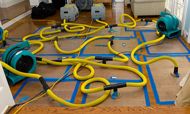 Professional Basement Flood Cleanup technician working in West Barnstable, MA